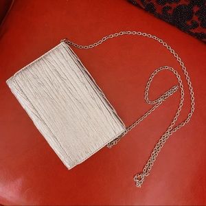 Silver Clutch/ Crossbody Bag